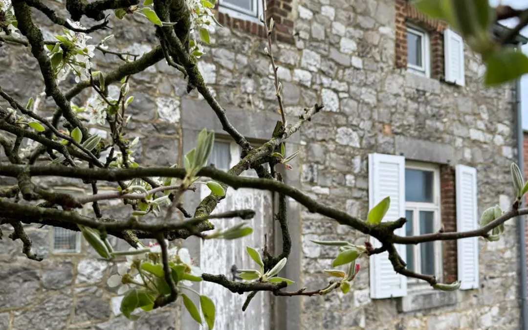 Rénovation complète d’une fermette en gîte de charme à Namur
